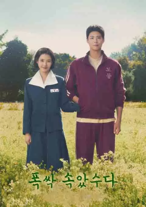 苦尽柑来遇见你