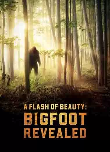 美丽的闪光：大脚怪揭秘