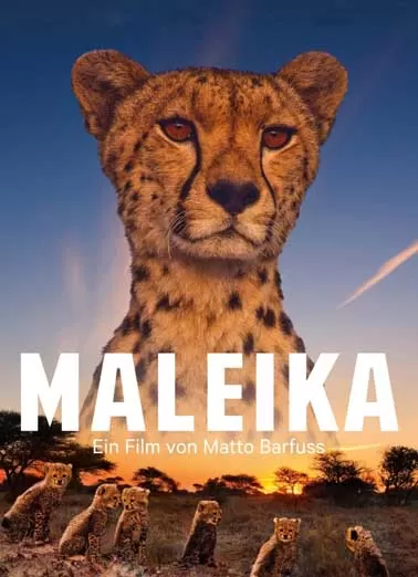 非洲：动物乐园