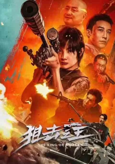 狙击之王：暗杀